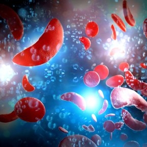 Hemoglobina eritrocitară medie: ce este și când trebuie să o testezi
