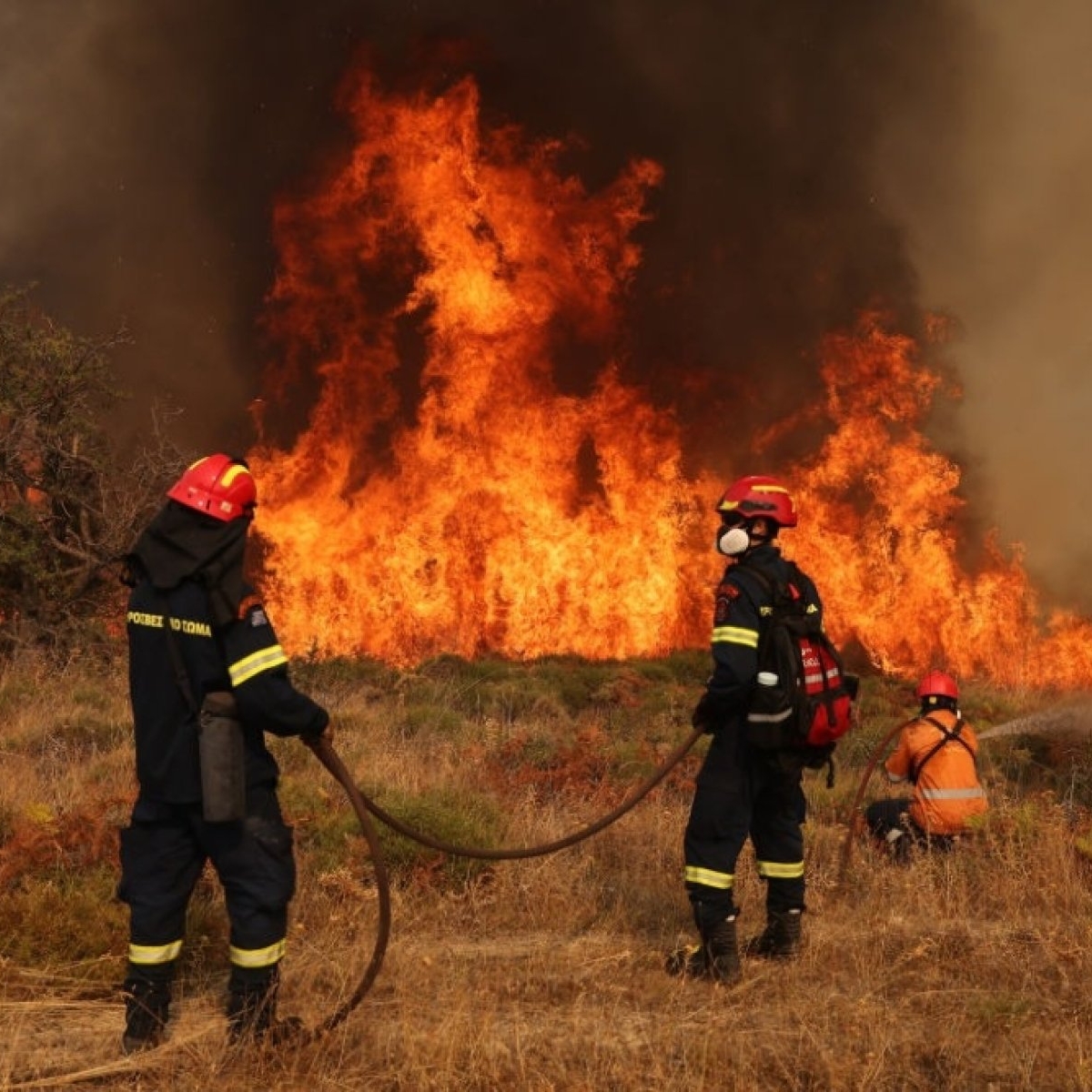 Au apărut primele incendii de vegetație din Grecia. Care sunt zonele afectate