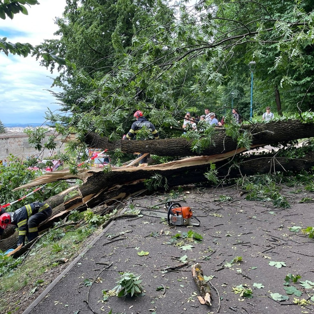Un tânăr de 27 de ani din Brașov a murit după ce a căzut un copac peste el. O femeie a fost și ea grav rănită