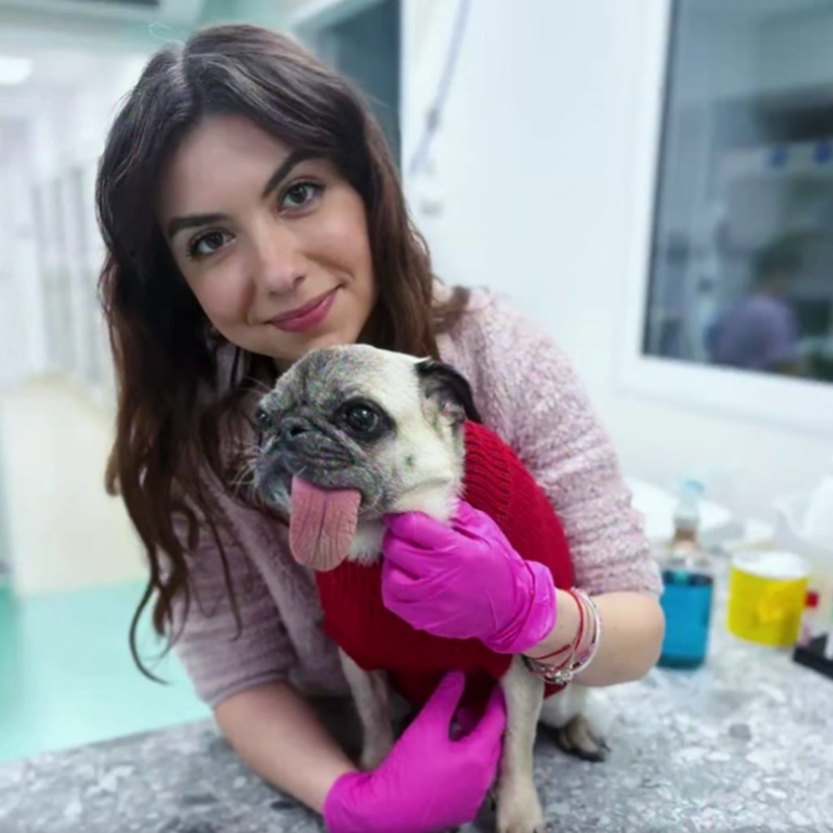 Ștefania a plecat într-o lume mai bună la numai 28 de ani. Și-a dedicat viața medicinei veterinare, dar destinul i-a fost curmat într-un cumplit accident