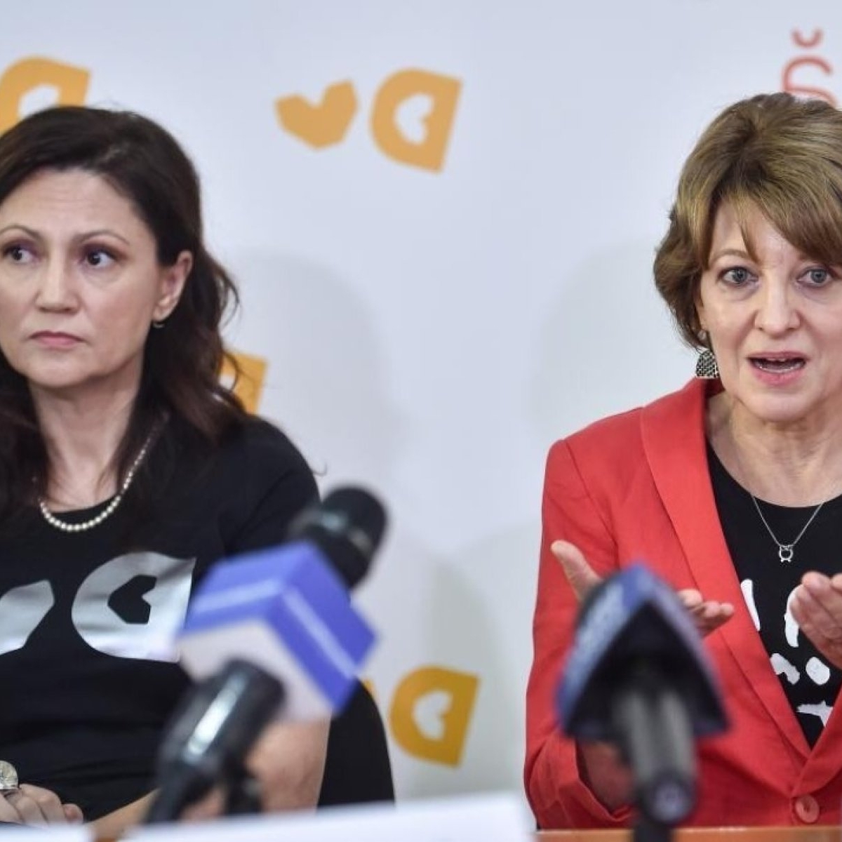 Carmen Uscatu, reacție dură la adresa Oanei Gheorghiu după ce a devenit vicepremier: „E regretabil pentru noi că s-a întâmplat acest lucru". Cele două au pus bazele asociației "Dăruiește viață"