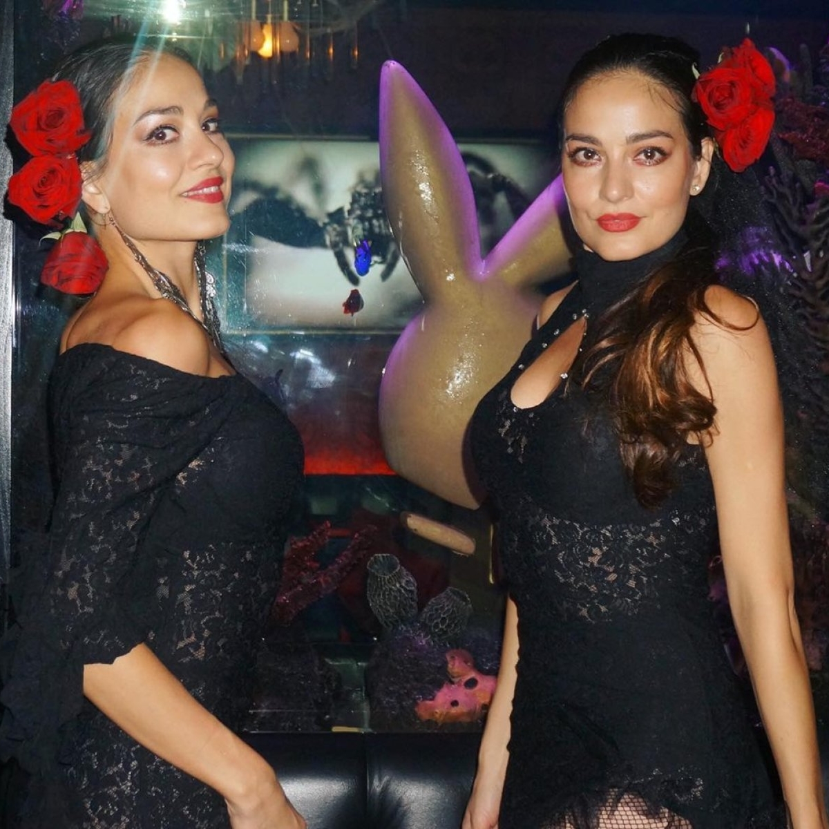 Gemenele Modorcea, arestate în America? Acuzații extrem de grave de furt, hărțuire, vătămare corporală și uz de identitate falsă