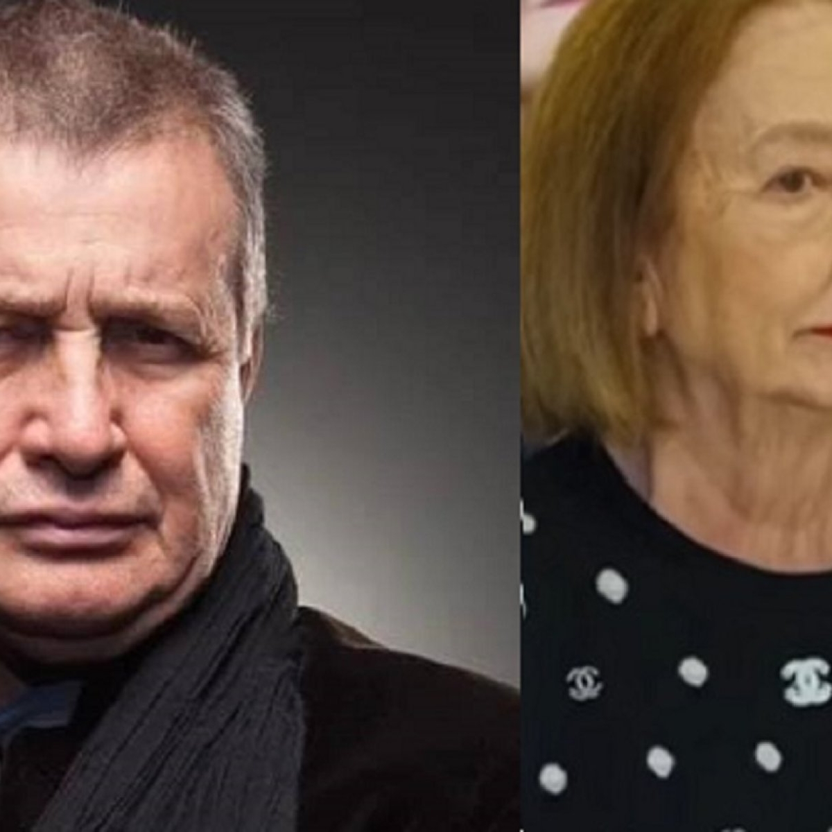 Mircea Dinescu, derapaj public la adresa Rodicăi Stănoiu. „Bătrâna parașută”