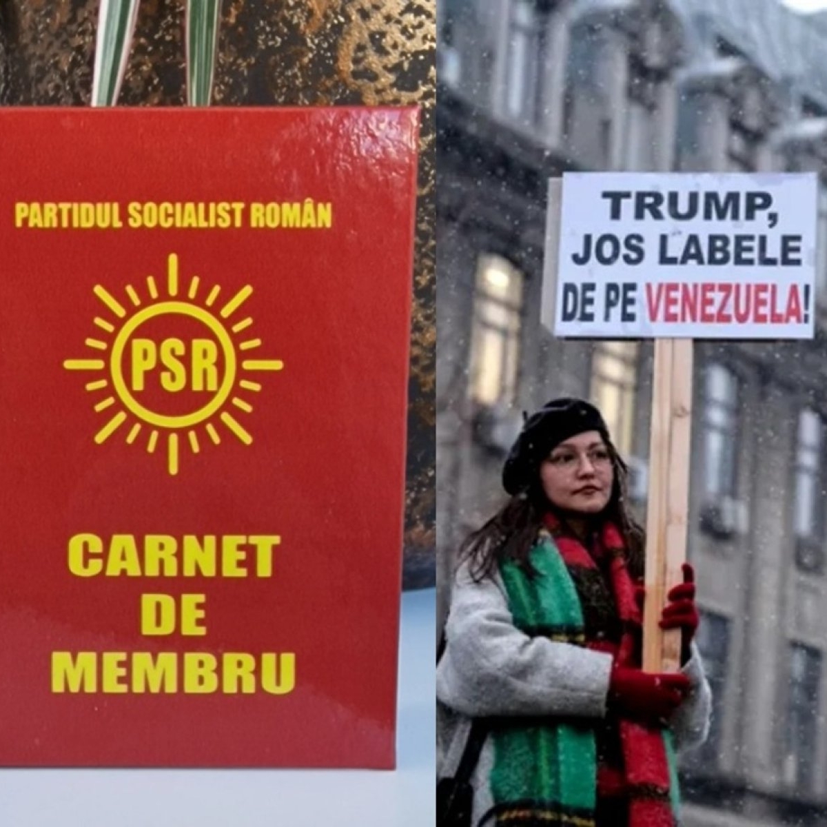 Fiica Elenei Lasconi s-a înscris în Partidul Socialist Român. La începutul anului a protestat în Piața Universității împotriva președintelui Trump