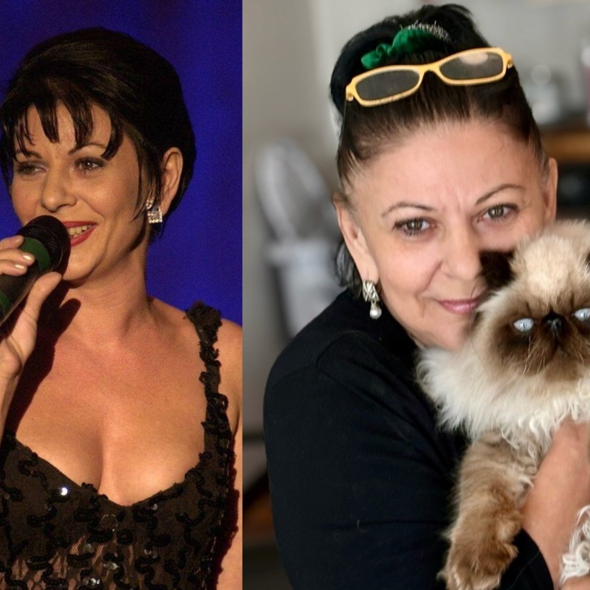 Elena Cârstea, afacere care îi aduce bani frumoși în conturi. Artista vinde pisici: „Cea mai scumpă mâță am vândut-o cu 9.000 de dolari”