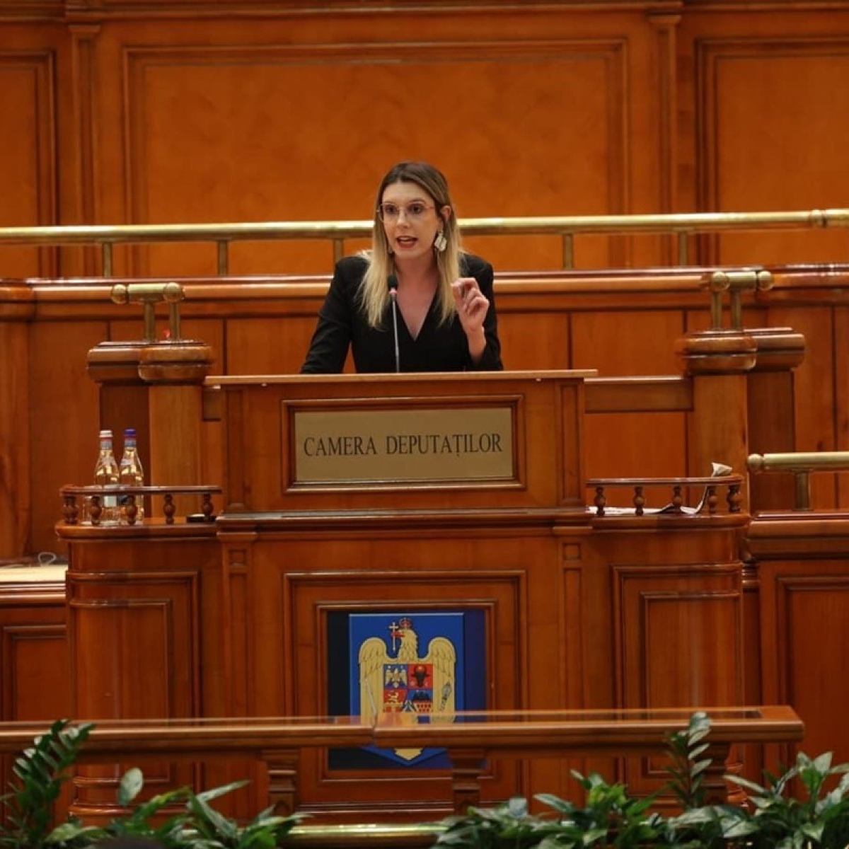 Diana Buzoianu, mesaj dur și direct către alianța AUR-PSD: „Vă este groază că se închid robinetele cu bani publici care ajungeau la voi"