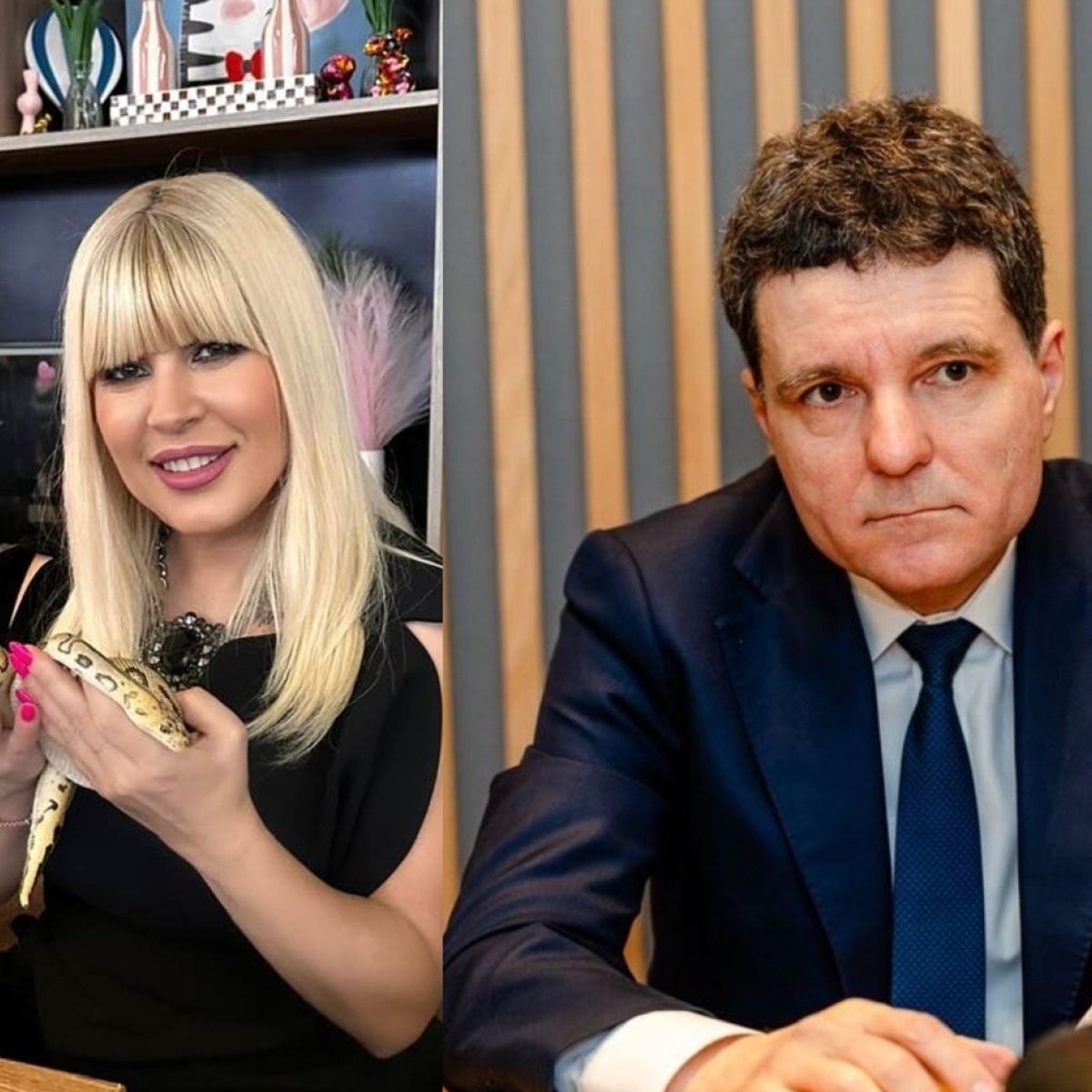Elena Udrea susține că este de partea lui Nicușor Dan? „Faptul ca ai fost olimpic internațional la matematică”