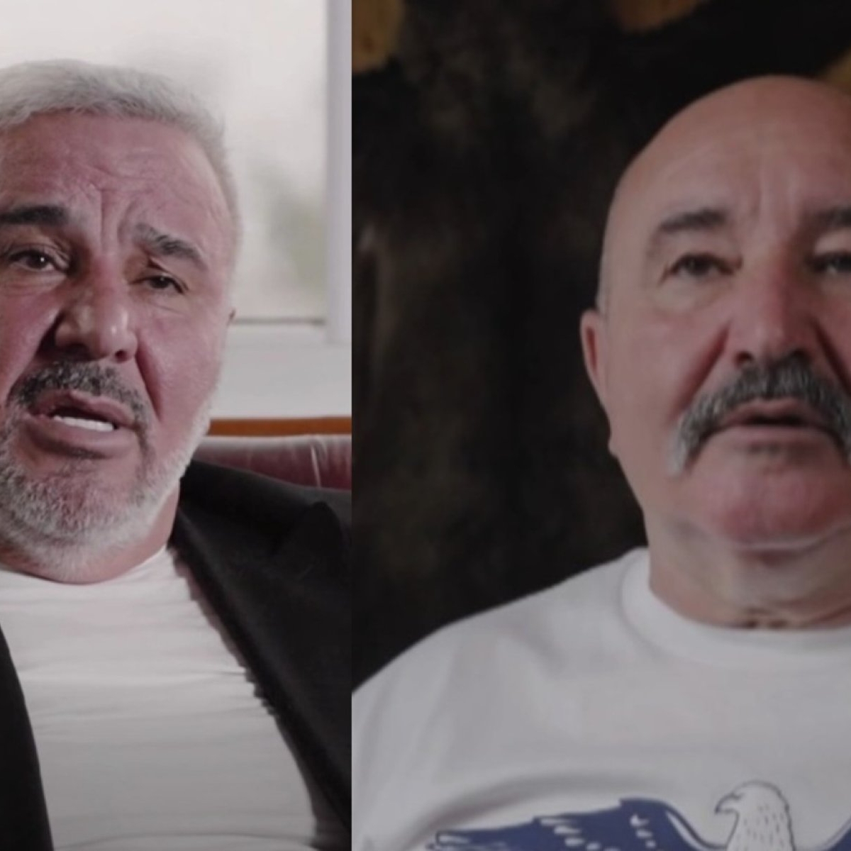 Frații Cămătaru, declarații halucinante despre cum i-au spart casa lui Alain Delon. Au furat bunuri în valoare de 50.000 de euro