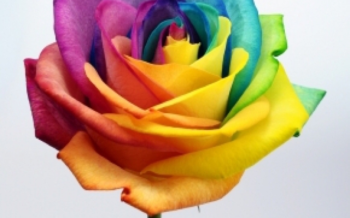 Psihologia culorilor: afla ce spun preferintele tale cromatice despre tine
