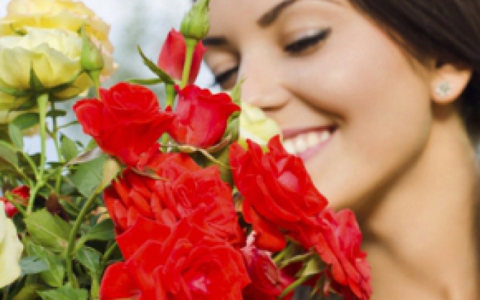 Culorile si semnificatia trandafirilor: tu ce preferinte ai?