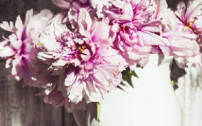 20 de imagini cu flori de primavara care te vor fascina