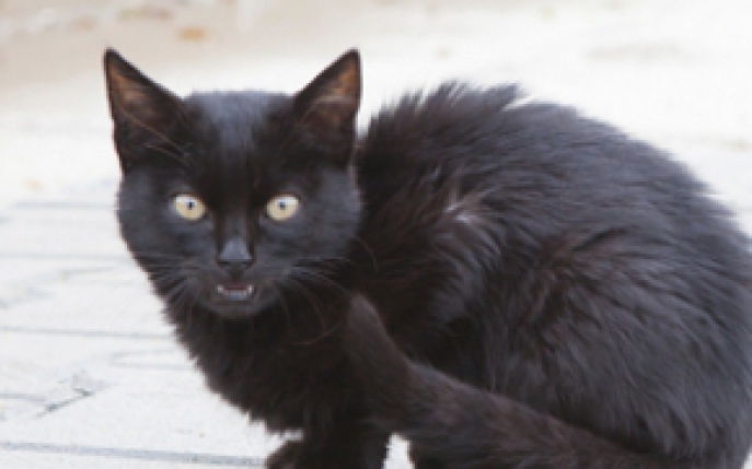 Cele mai amuzante superstitii romanesti