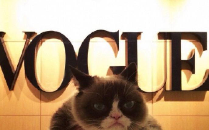 Celebra Grumpy Cat, sarbatorita de Vogue America! 