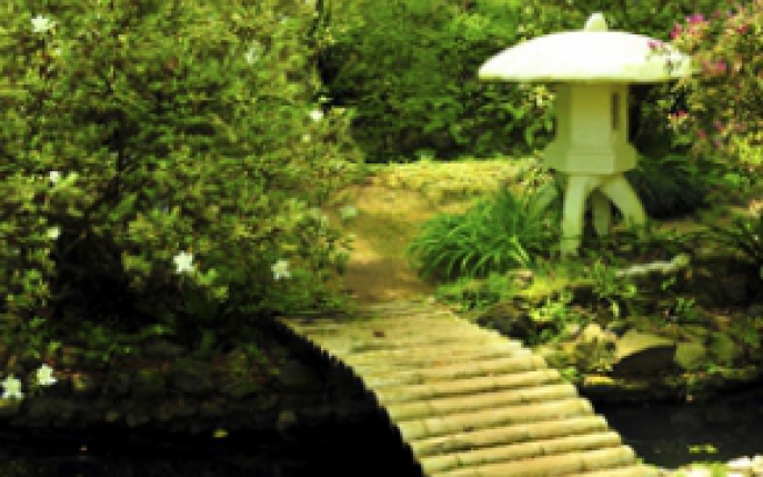 grădinar peisagist grădină japoneză elveția anti îmbătrânire)