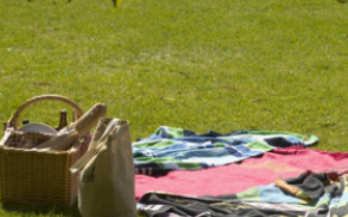 Top 5 locuri ideale pentru picnic in Bucuresti