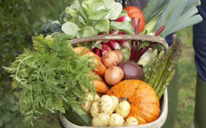 Top 10 legume de toamna si beneficiile lor
