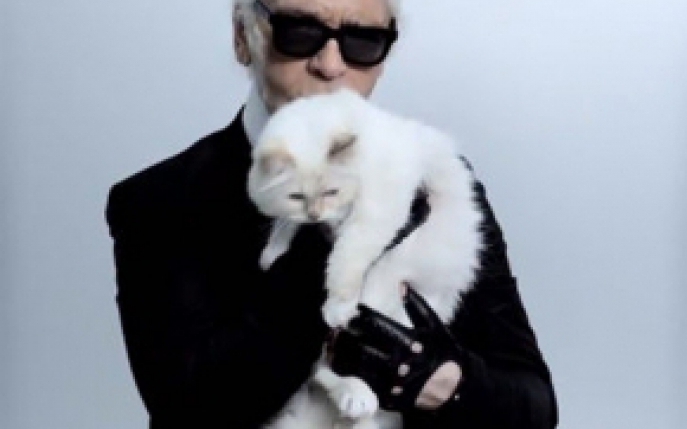 Pisica designerului Karl Lagerfeld este multi-milionara! 