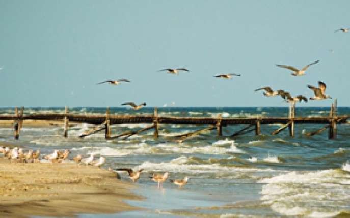 Plaja Corbu: acces si cazare in 2015