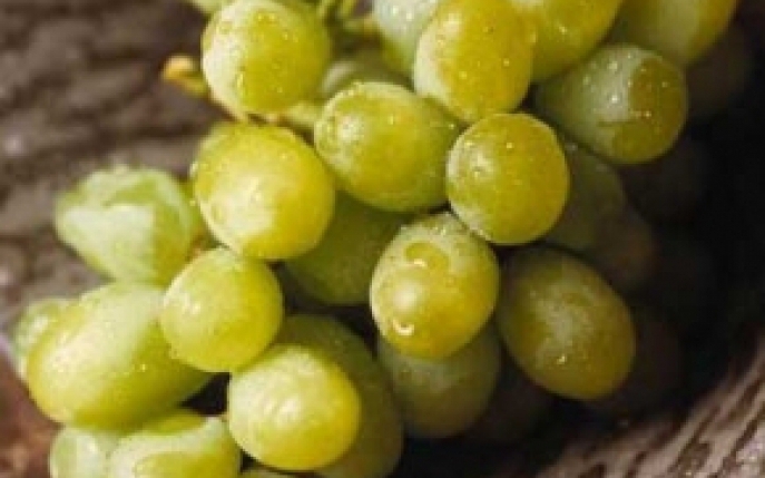 Descopera cea mai renumita marca de produse cosmetice pe baza de struguri