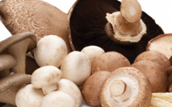 Cate calorii au ciupercile si beneficiile lor in alimentatie
