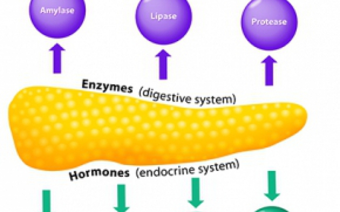 De ce e bine sa iei suplimente alimentare care contin enzime digestive