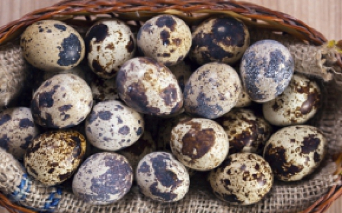 Top 10 beneficii ale consumului de oua de prepelita: afla de ce sunt atat de bune pentru sanatate! 