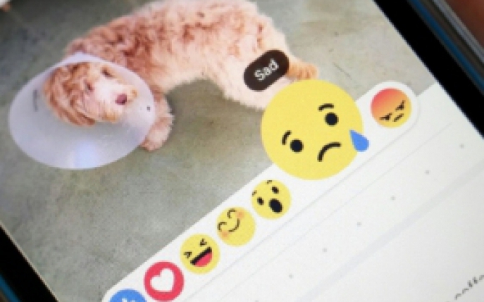 Facebook a lansat noile butoane de reactii! Care este preferatul tau?