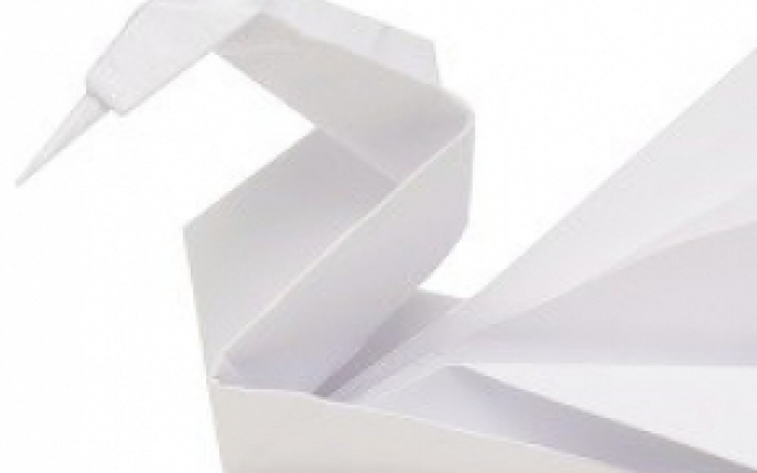 Cum sa faci o lebada origami in 10 pasi