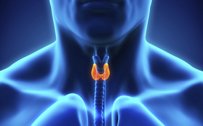 Patru simptome care pot indica apariţia unei boli endocrine