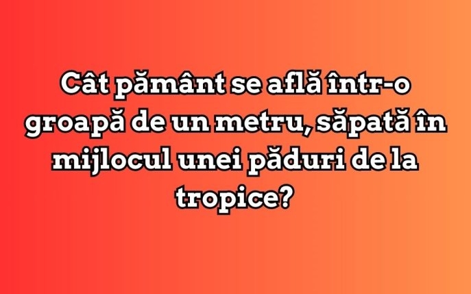 11 întrebări-capcană care îţi testează inteligenţa