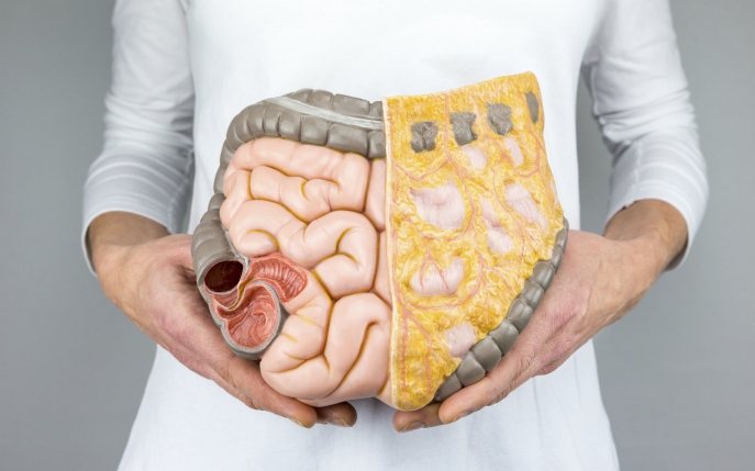 Ce este ocluzia intestinală și cum se tratează