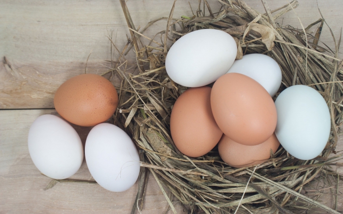 Cum e corect: ouăle sau ouălele, ouălor sau ouălelor?