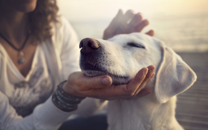 Cele mai bune animale de companie pentru zodii