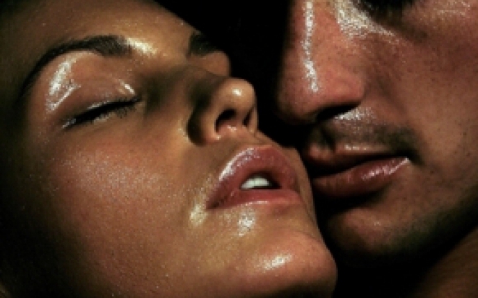 Fara Sex 81