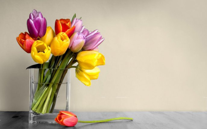 Ce spune despre relația voastră floarea primită de la el primăvara aceasta