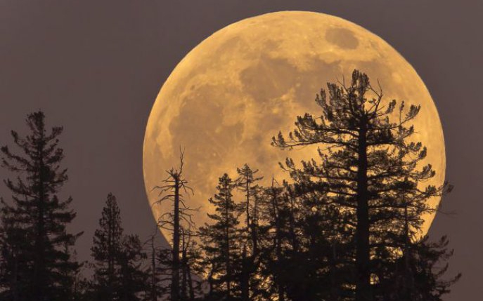 Lună Plină pe 12 martie. Cum sunt influenţate zodiile