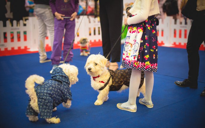 Singurul eveniment de lifestyle pentru animale își deschide porțile pe 5 mai