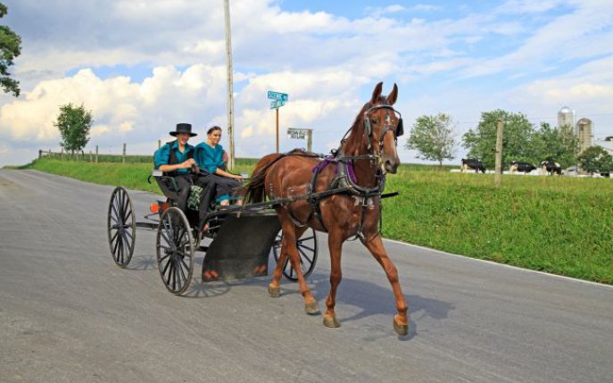 Reţeta Amish care scade tensiunea şi colesterolul