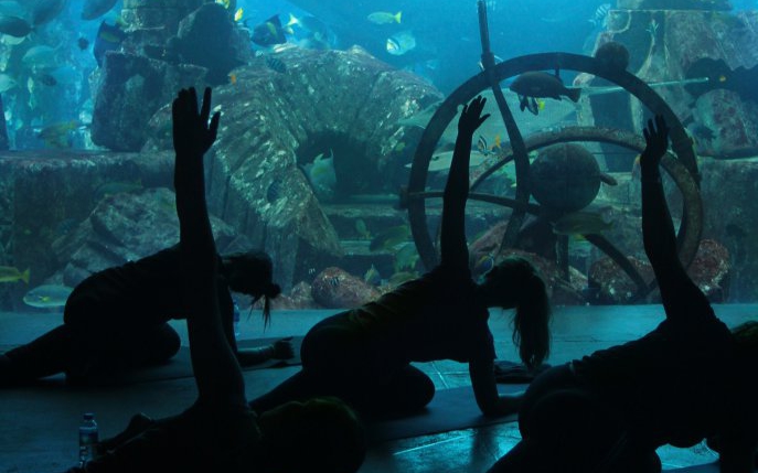 Yoga ,,subacvatică”, o experiență unică de regenerare profundă