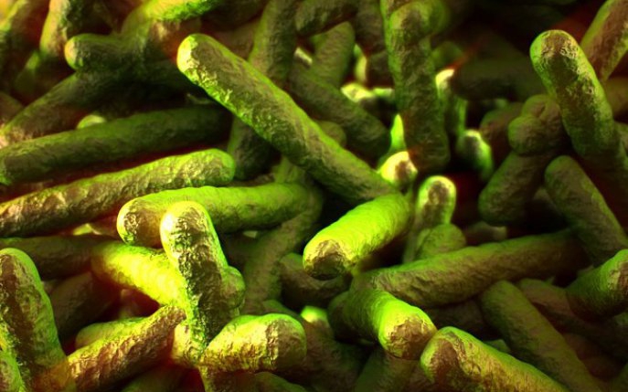 Cât de periculoasă este infecția cu listeria în sarcină