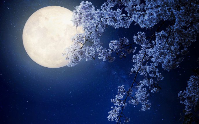 Luna în Fecioară: două zodii îşi deblochează ghinionul