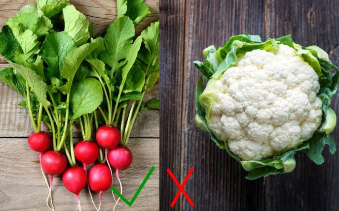 Cele mai sănătoase și cele mai periculoase legume
