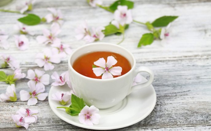 Ceai pentru plămâni: proprietăți și efecte adverse