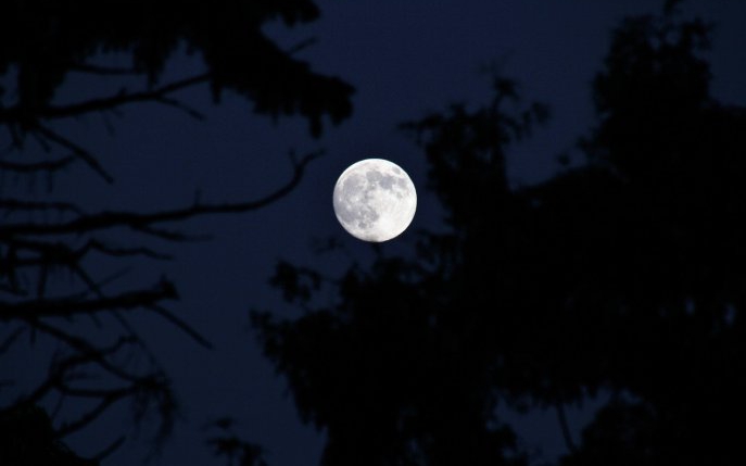 Eclipsa de Lună, Luna Albastră și Super Luna aduc schimbări mari în viața zodiilor