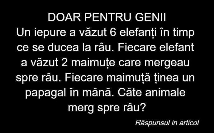 ”Un iepure a văzut 6 elefanți”, ghicitoarea pe care numai geniile o rezolvă