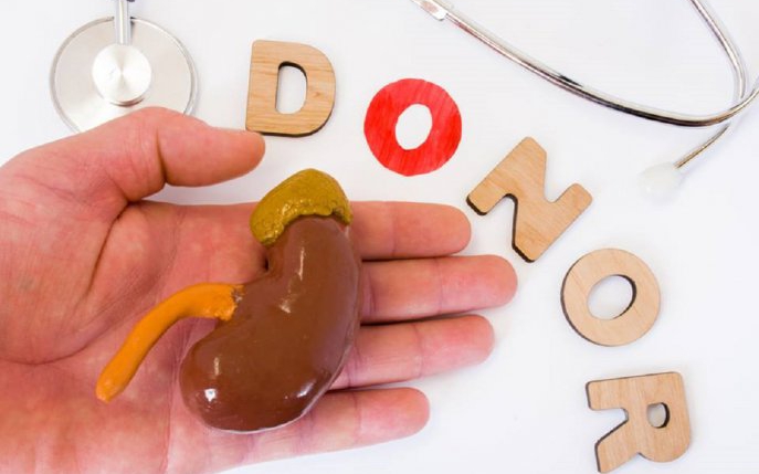 De câte ori poate fi donat un rinichi