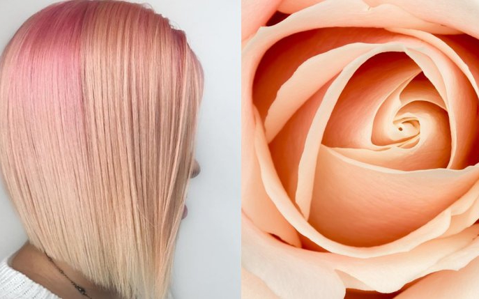 Buttered rose gold - culoarea de păr HOT din vara 2018