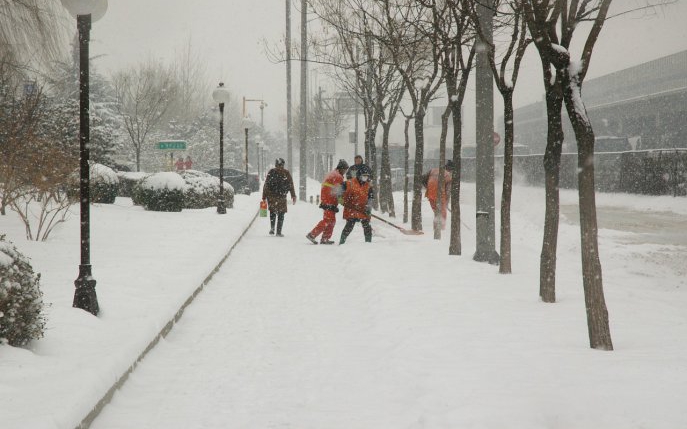 Iarna își intră în drepturi și face ravagii în România! Alertă meteo: ger, ninsori și viscol în toată țara