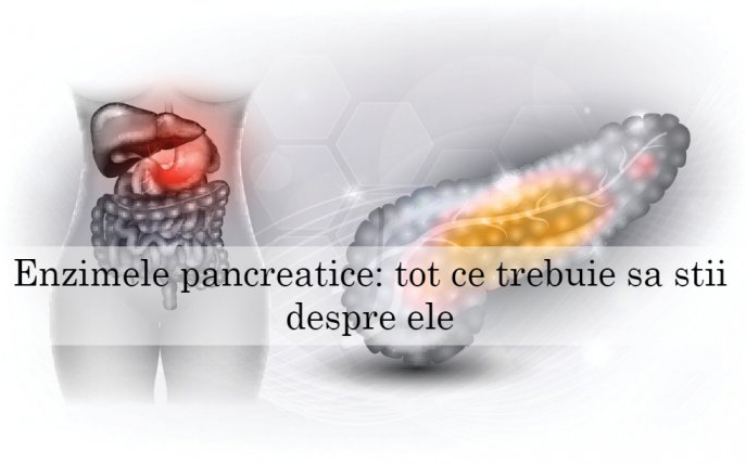 Enzime pancreatice: tot ce trebuie să știi despre ele