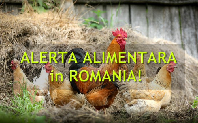 O nouă alertă alimentară în România! 4 județe și Capitala, cel mai vizate!